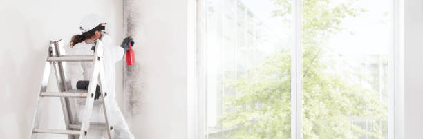 Best Mold Removal for HVAC Installations  in Magna, UT
